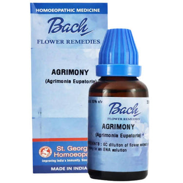 https://cdn.shopify.com/s/files/1/1857/6931/products/cV1DFqtwGu.jpg?v=1644821821